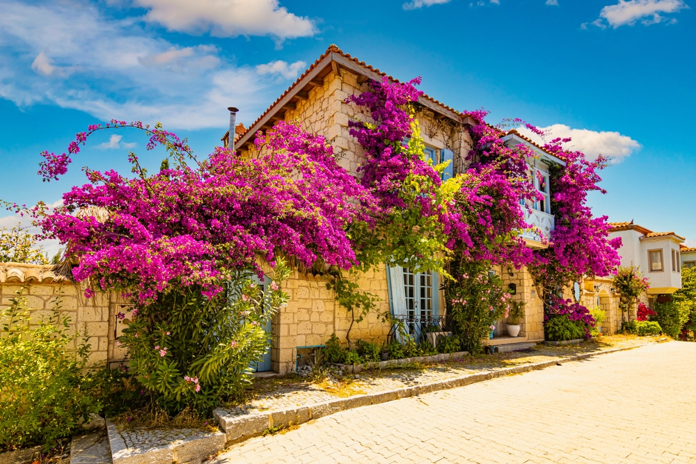 Çeşme - Alaçatı - Ilıca Plajı Turu