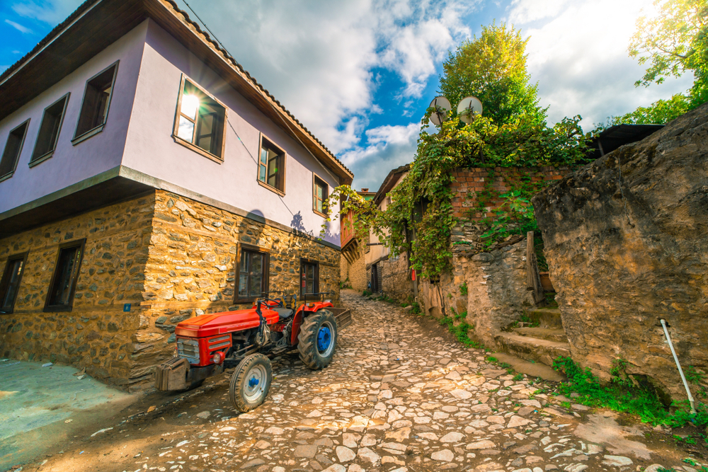 Cumalıkızık Mudanya Tirilye ve Gölyazı Turu